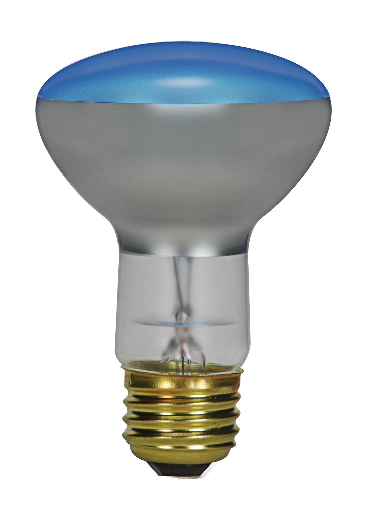 satco-75-watt-r25-incandescent-grow-2000-average-rated-hours-medium-base-120-volts-75r25gro-01_119_jpg_1200x1663.jpg
